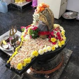 Mahashivaratri Abhishekam kit